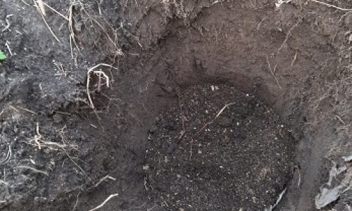 Яма для посадки саженца винограда с добавленной на дно органо-минеральной смесью с огородным грунтом